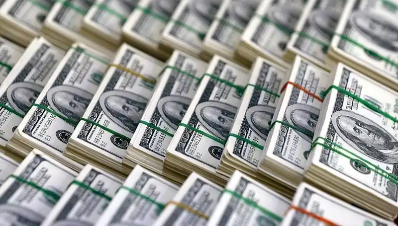 Dolar Yeniden Yükselişe Geçti: Ekonomistler Uyarıyor!