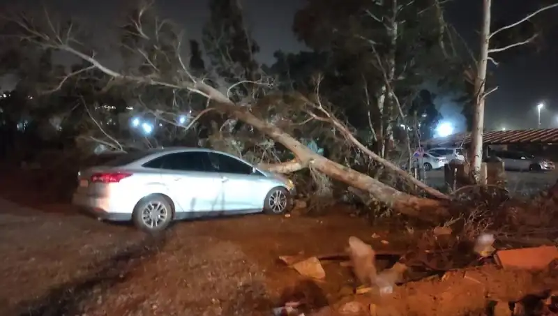Hatay’da Şiddetli Fırtına: Tekne Alabora Oldu, Ağaçlar Devrildi